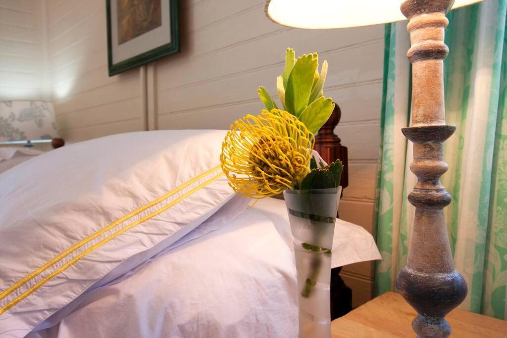 Stunning Boulders House - Simonstown, Cape Holiday home Cape Town