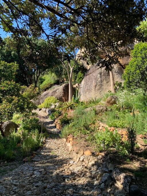 Holiday home Stunning Boulders House - Simonstown, Cape
