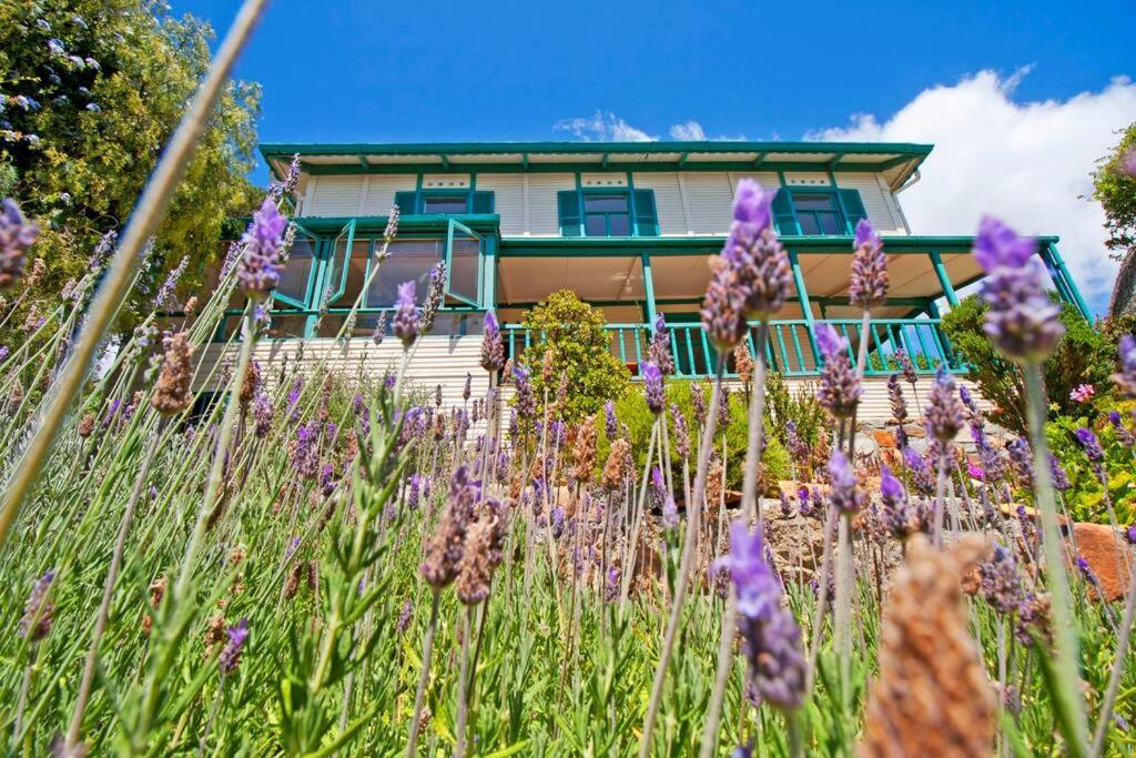 Holiday home Stunning Boulders House - Simonstown, Cape Cape Town
